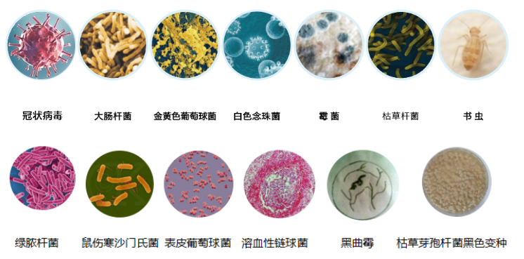 漢龍公司紫外線檔案消毒柜交付用戶單位使用